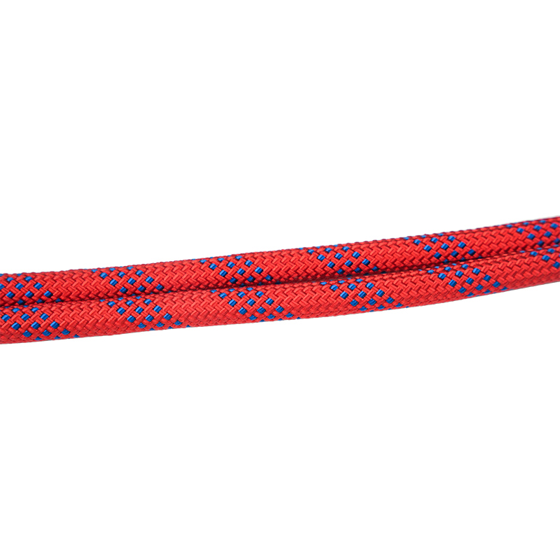 L01 lanyard sábháilteachta cúpla cosanta titim